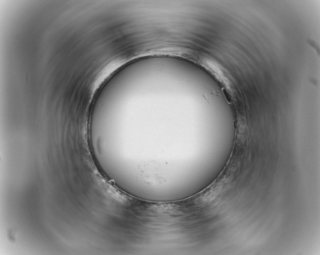 X0000093390952200710251237