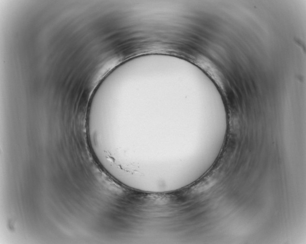 X0000093390954200710251237