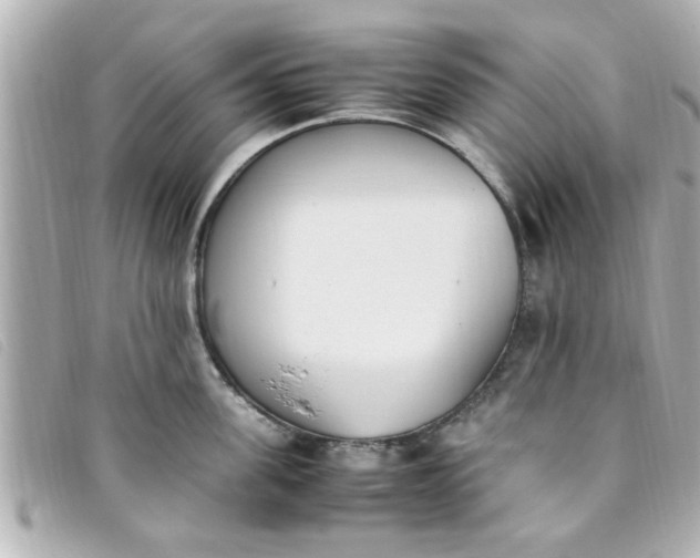 X0000093390955200710251237