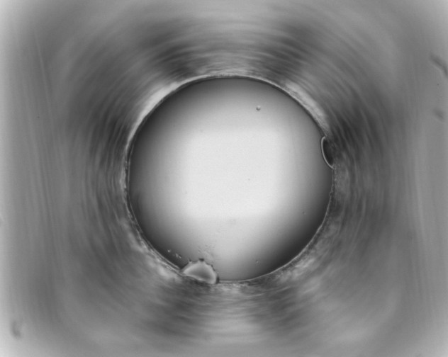 X0000093390956200710251237