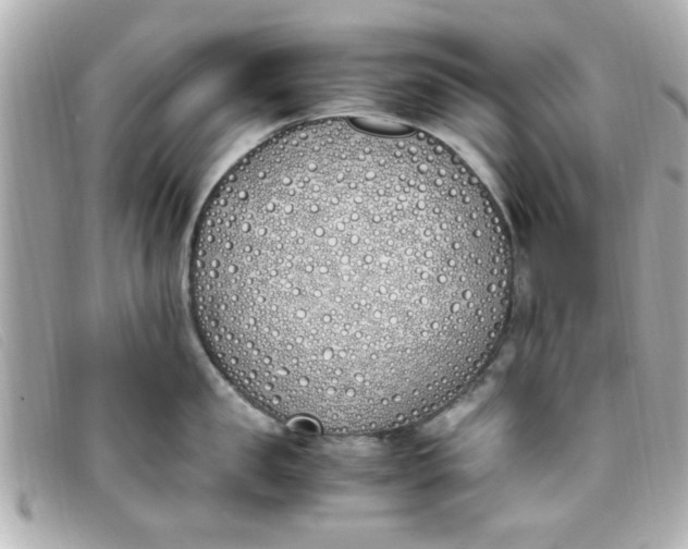 X0000093390957200710251237