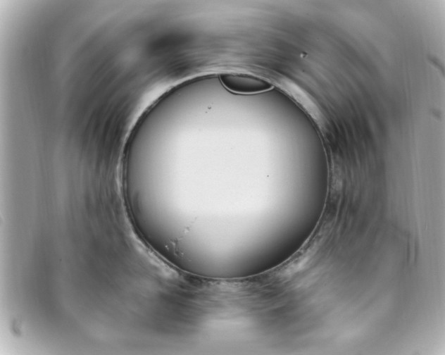 X0000093390958200710251237