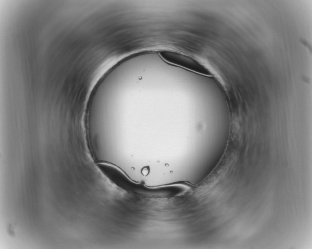 X0000093390959200710251237