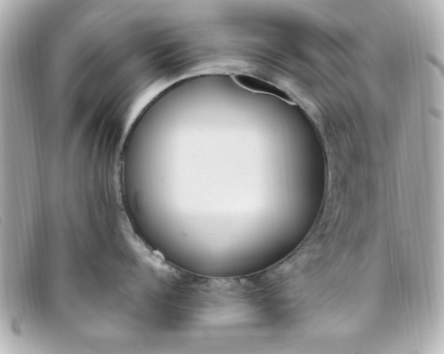 X0000093390960200710251237