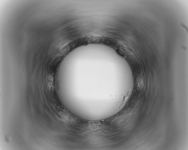 X0000093390964200710251237