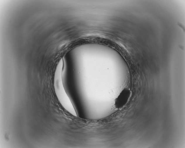 X0000093390965200710251237