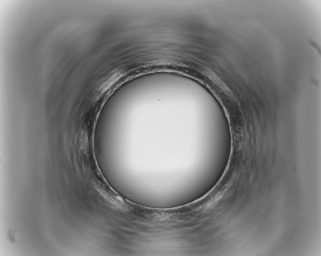 X0000093390969200710251237