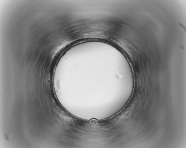 X0000093390971200710251237