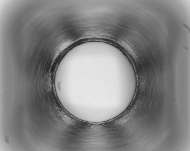 X0000093390974200710251237