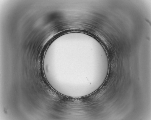 X0000093390975200710251237