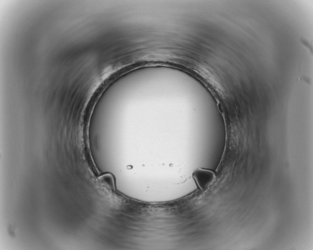 X0000093390976200710251237