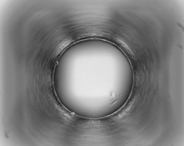 X0000093390977200710251237