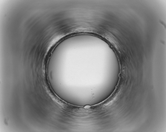 X0000093390981200710251237