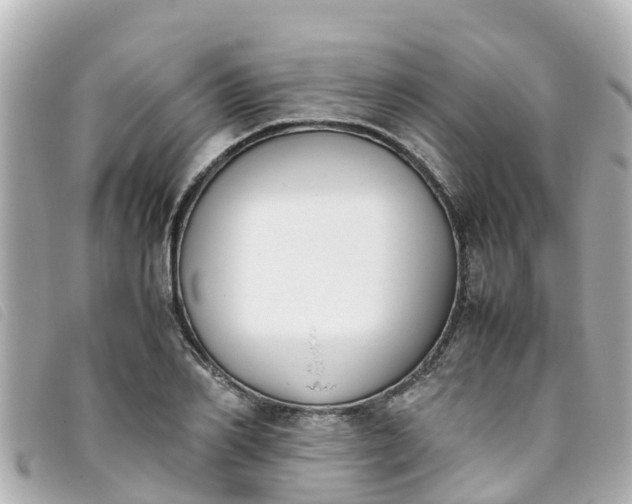 X0000093390982200710251237