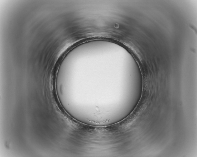 X0000093390983200710251237