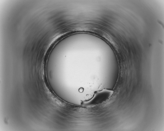 X0000093390984200710251237