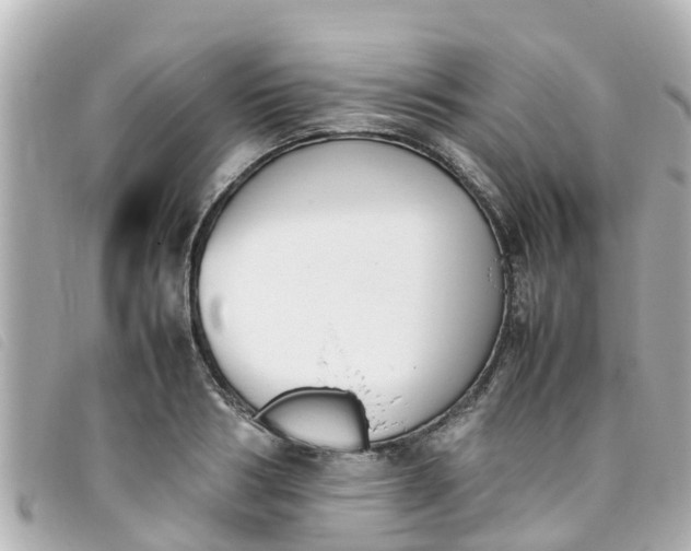 X0000093390986200710251236