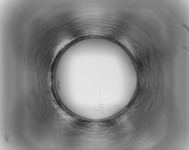 X0000093390987200710251236