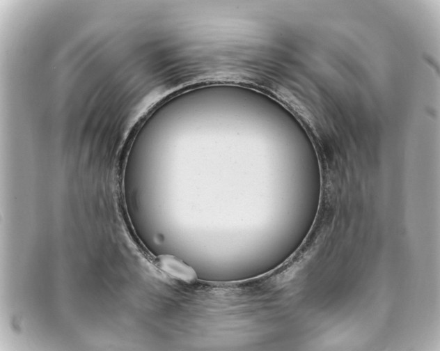 X0000093390989200710251236