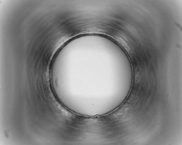 X0000093390990200710251236