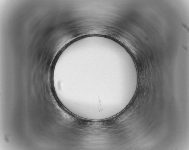 X0000093390991200710251236