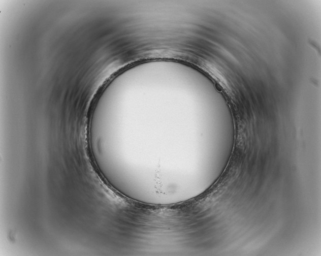 X0000093390992200710251236