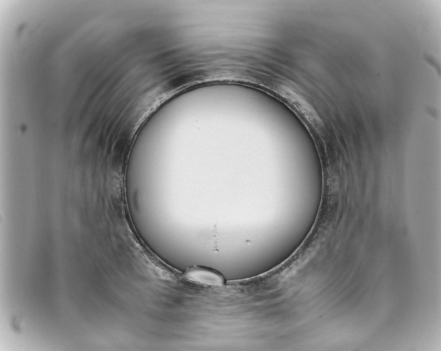 X0000093390993200710251236