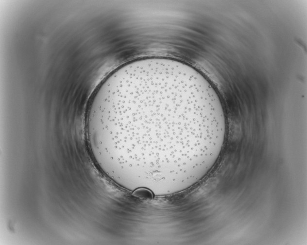 X0000093390994200710251236