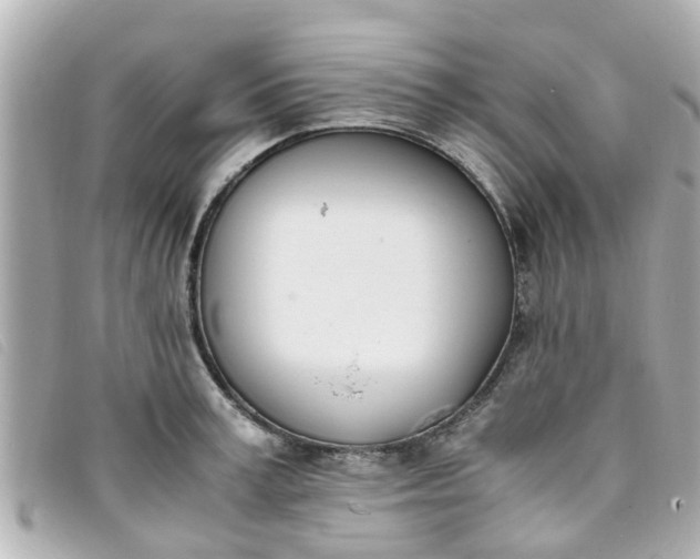 X0000093390995200710251236