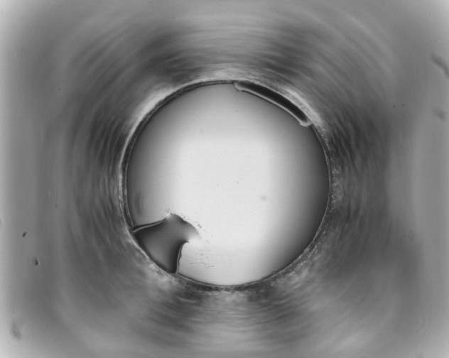 X0000093390996200710251236