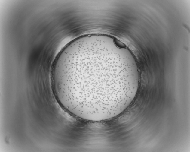 X0000093390998200710251236