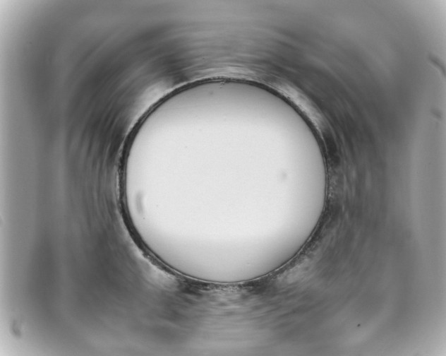 X0000093390999200710251236