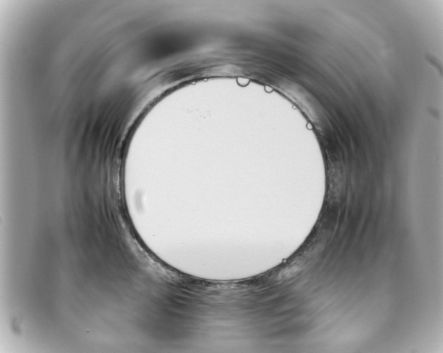 X0000093391000200710251236