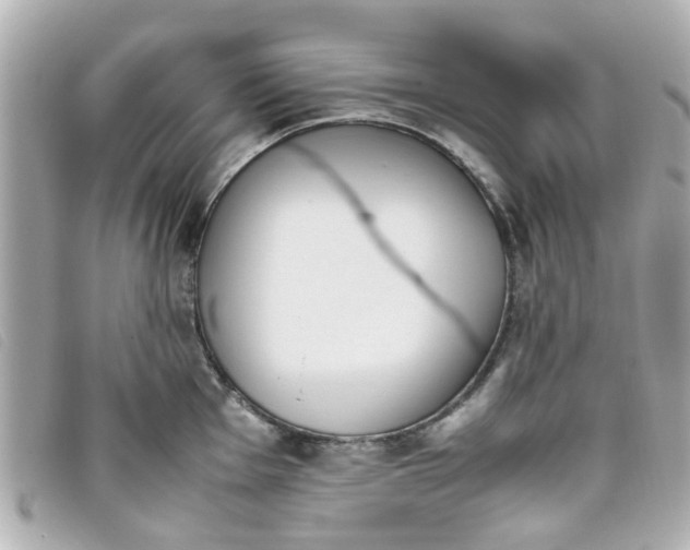 X0000093391001200710251236