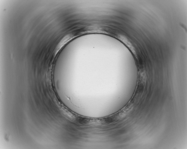 X0000093391002200710251236