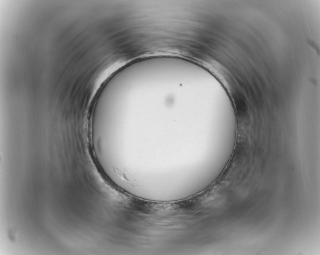 X0000093391003200710251236