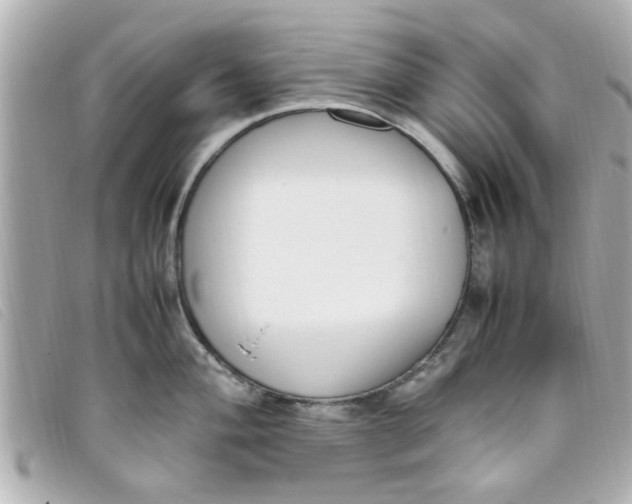 X0000093391004200710251236