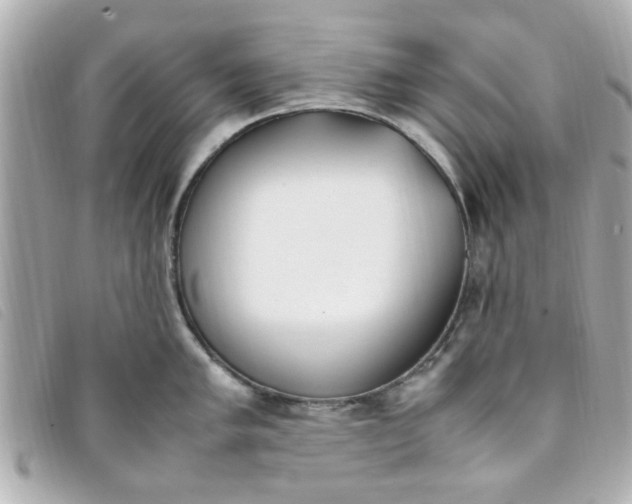 X0000093391005200710251236