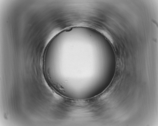 X0000093391007200710251236