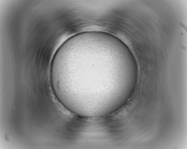 X0000093391008200710251236