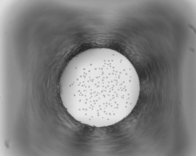 X0000093391009200710251236