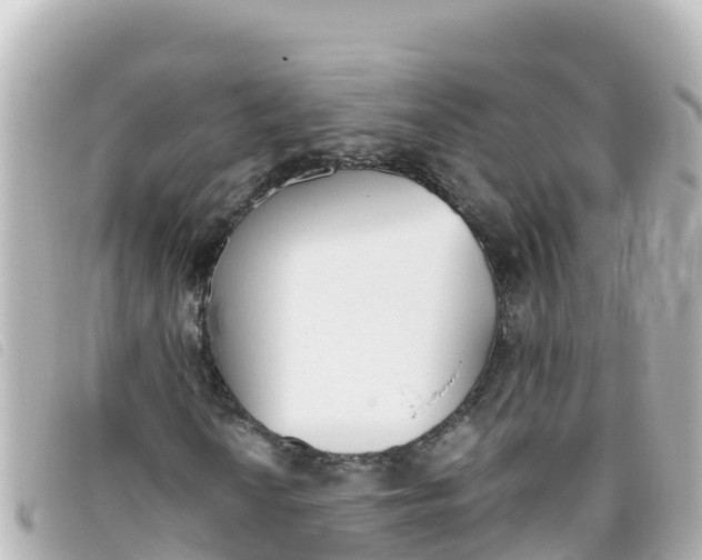 X0000093391010200710251236