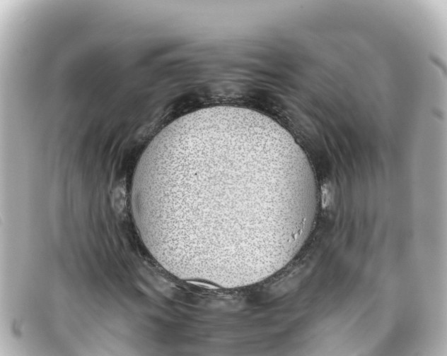 X0000093391011200710251236