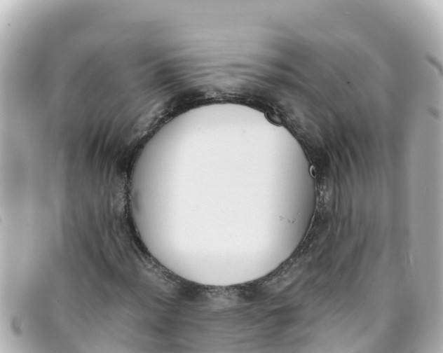 X0000093391012200710251236