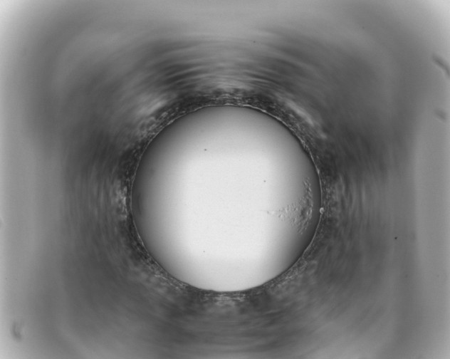 X0000093391013200710251236