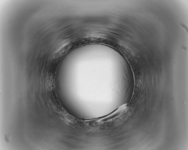 X0000093391014200710251236