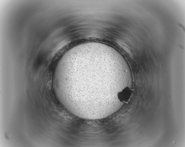 X0000093391015200710251236