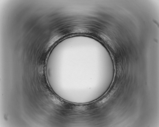 X0000093391017200710251236