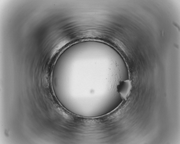 X0000093391018200710251236