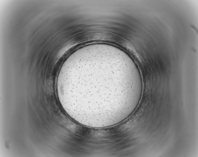 X0000093391019200710251236